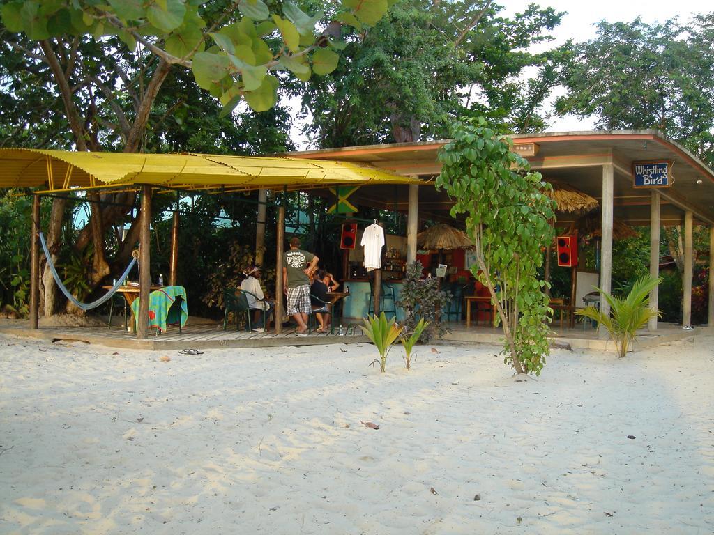 Whistling Bird Hotel Negril Kültér fotó