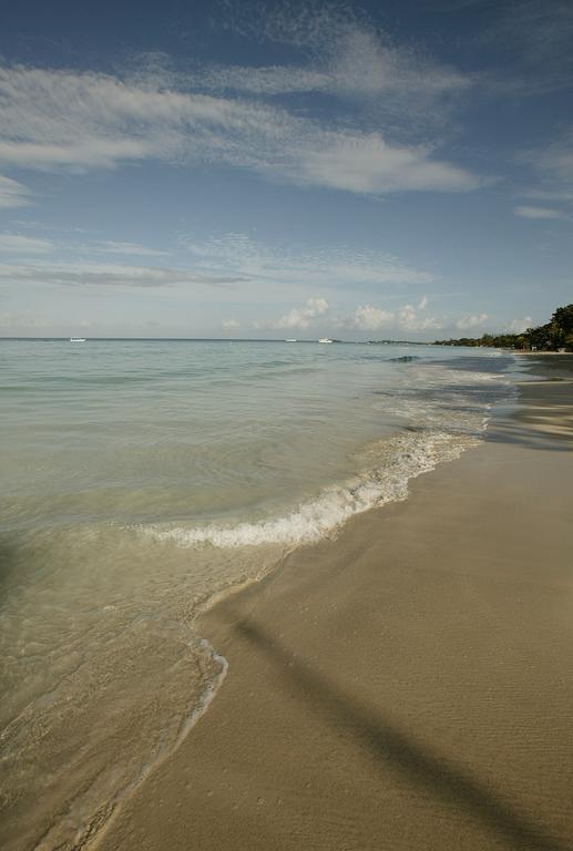 Whistling Bird Hotel Negril Kültér fotó
